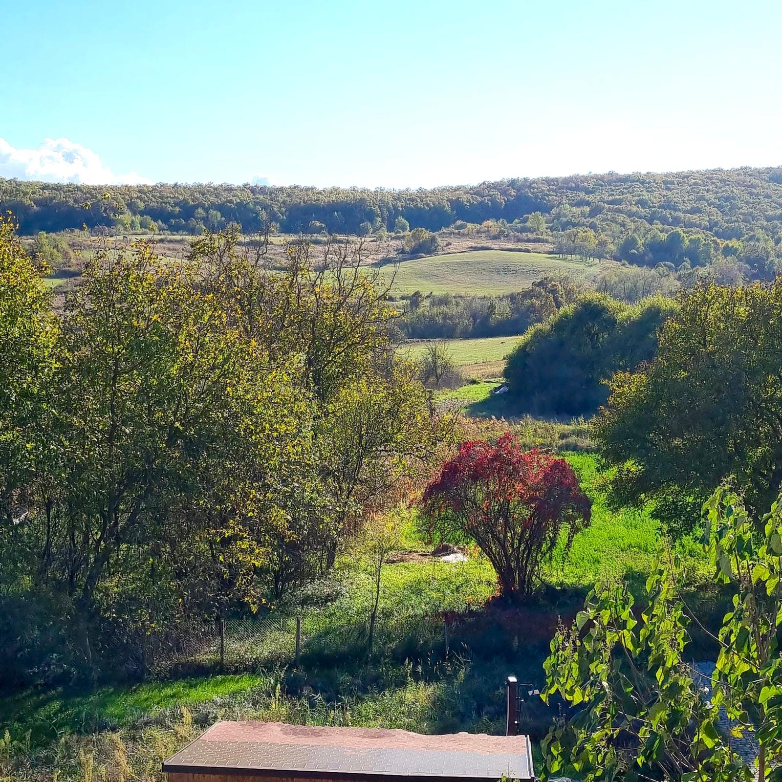 Imagine cu natura din imprejurimile Hanului Almas. Romania/ Deva/ Hunedoara/ Almasul Sec